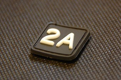Second Amendment 3D PVC GITD Ranger Eye Morale Patch