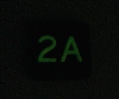 Second Amendment 3D PVC GITD Ranger Eye Morale Patch