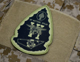 Operation Neptune Spear 10th Anniversary Morale Patch