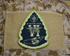 Operation Neptune Spear 10th Anniversary Morale Patch