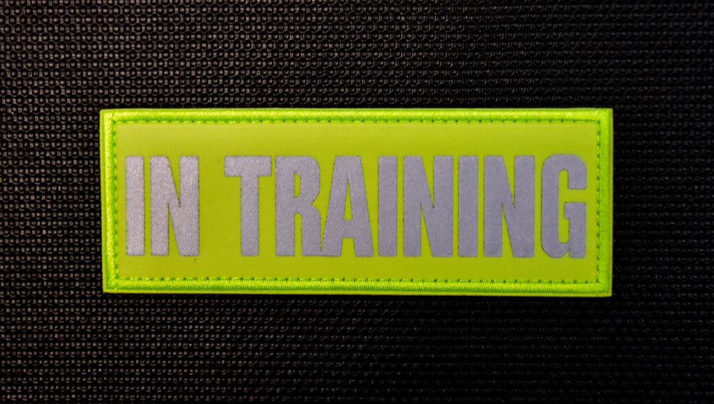 IN TRAINING Hi-Vis Reflective Patch