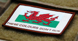 Cymru Wales THESE COLOURS DON'T RUN Morale Patch
