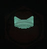 Praetorian Guard 3D PVC GITD Morale Patch
